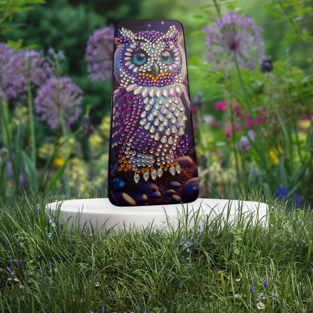 Decorative Owl Eye Glass Case